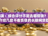 网友：综合评分不足去哪借钱？求介绍几款不看负债的长期网贷软件