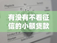 有没有不看征信的小额贷款？真实情况与申请攻略解析