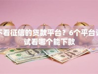 不看征信的贷款平台？6个平台试试看哪个能下款