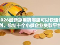2026最新急用钱哪里可以快速借到，总结十个小微企业贷款平台！