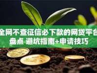 全网不查征信必下款的网贷平台盘点 避坑指南+申请技巧
