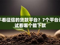 不看征信的贷款平台？7个平台试试看哪个能下款