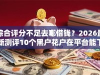 综合评分不足去哪借钱？2026最新测评10个黑户花户在平台能下款