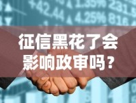 征信黑花了会影响政审吗？贷款用户必知的政审风险解析