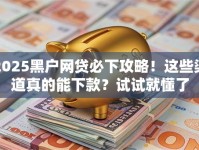 2025黑户网贷必下攻略！这些渠道真的能下款？试试就懂了