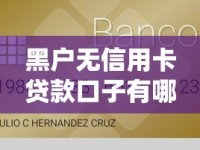黑户无信用卡贷款口子有哪些？真实渠道推荐与避坑指南