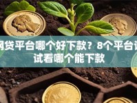 网贷平台哪个好下款？8个平台试试看哪个能下款