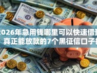 2026年急用钱哪里可以快速借到，真正能放款的7个黑征信口子推荐