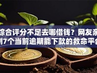 综合评分不足去哪借钱？网友亲测7个当前逾期能下款的救命平台盘点