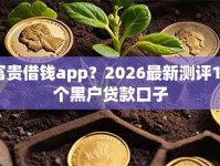 富贵借钱app？2026最新测评10个黑户贷款口子