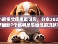小额贷款哪里最可靠，分享2026年最新7个高利息易通过的贷款平台呢