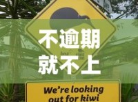 不逾期就不上征信？贷款征信的隐藏规则揭秘