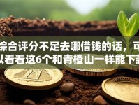 综合评分不足去哪借钱的话，可以看看这6个和青橙山一样能下款的口子