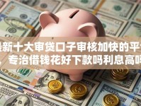 最新十大审贷口子审核加快的平台，专治借钱花好下款吗利息高吗