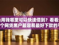 急用钱哪里可以快速借到？看看这8个网贷黑户最容易最好下款的平台怎么样