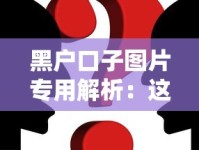 黑户口子图片专用解析：这些渠道真的靠谱吗？附真实案例讲解