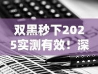 双黑秒下2025实测有效！深度解析最新贷款方案与避坑指南