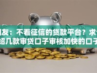 网友：不看征信的贷款平台？求介绍几款审贷口子审核加快的口子