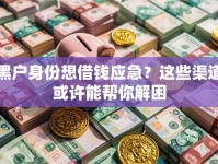 黑户身份想借钱应急？这些渠道或许能帮你解困