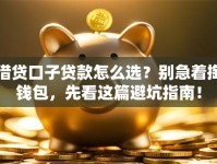 借贷口子贷款怎么选？别急着掏钱包，先看这篇避坑指南！