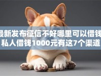 最新发布征信不好哪里可以借钱，私人借钱1000元有这7个渠道