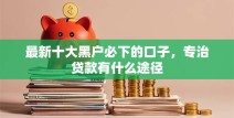 最新十大黑户必下的口子，专治贷款有什么途径
