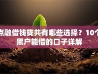 点融借钱拢共有哪些选择？10个黑户能借的口子详解