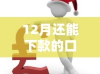 12月还能下款的口子有哪些？老哥实测靠谱推荐