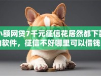 小额网贷7千元征信花居然都下款的软件，征信不好哪里可以借钱的5个平台介绍