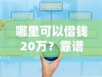 哪里可以借钱20万？靠谱渠道推荐及申请技巧全解析