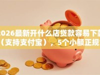 2026最新开什么店贷款容易下款（支持支付宝），5个小额正规贷款平台无私分享