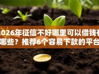 2026年征信不好哪里可以借钱有哪些？推荐6个容易下款的平台