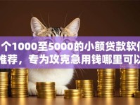 7个1000至5000的小额贷款软件推荐，专为攻克急用钱哪里可以快速借到难题
