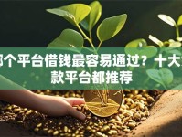 哪个平台借钱最容易通过？十大贷款平台都推荐
