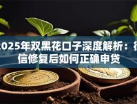 2025年双黑花口子深度解析：征信修复后如何正确申贷