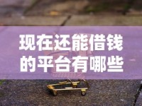 现在还能借钱的平台有哪些？这五类靠谱渠道别错过！