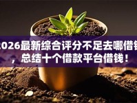 2026最新综合评分不足去哪借钱，总结十个借款平台借钱！
