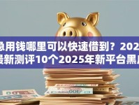 急用钱哪里可以快速借到？2026最新测评10个2025年新平台黑户也能下款这种