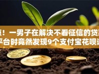 惊！一男子在解决不看征信的贷款平台时竟然发现9个支付宝花呗逾期万元快速贷款平台，事后分享了出来