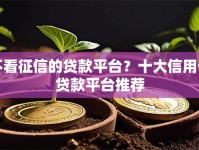 不看征信的贷款平台？十大信用卡贷款平台推荐