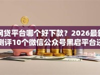 网贷平台哪个好下款？2026最新测评10个微信公众号黑启平台还可以贷款