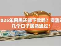 2025年网黑还能下款吗？实测这几个口子居然通过！