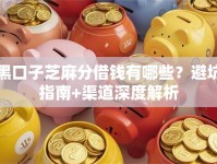 黑口子芝麻分借钱有哪些？避坑指南+渠道深度解析