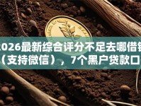 2026最新综合评分不足去哪借钱（支持微信），7个黑户贷款口子无私分享