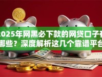 2025年网黑必下款的网贷口子有哪些？深度解析这几个靠谱平台