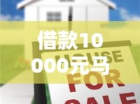 借款10000元马上放款不看征信？这几个平台真的靠谱吗