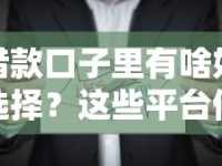 借款口子里有啥好选择？这些平台值得你试试看！