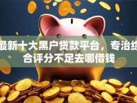 最新十大黑户贷款平台，专治综合评分不足去哪借钱