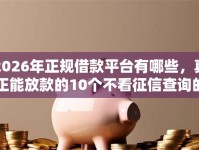 2026年正规借款平台有哪些，真正能放款的10个不看征信查询的口子推荐