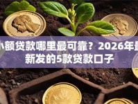 小额贷款哪里最可靠？2026年最新发的5款贷款口子